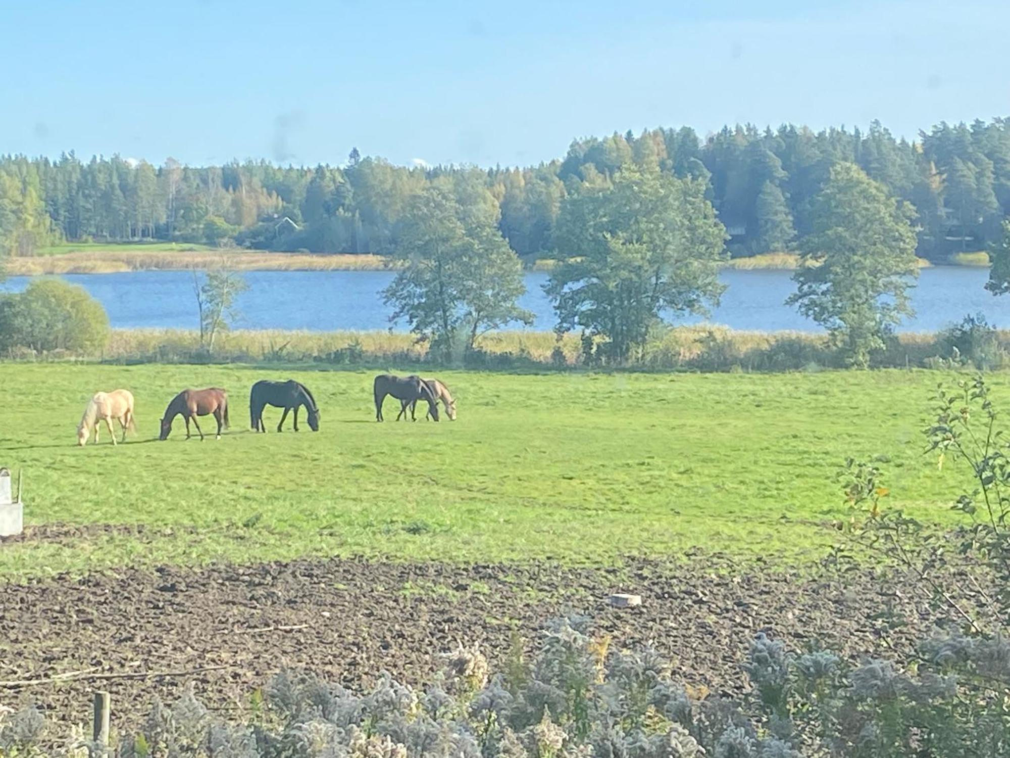 Ulvsby Ranch Western Camp Maalaistalot *