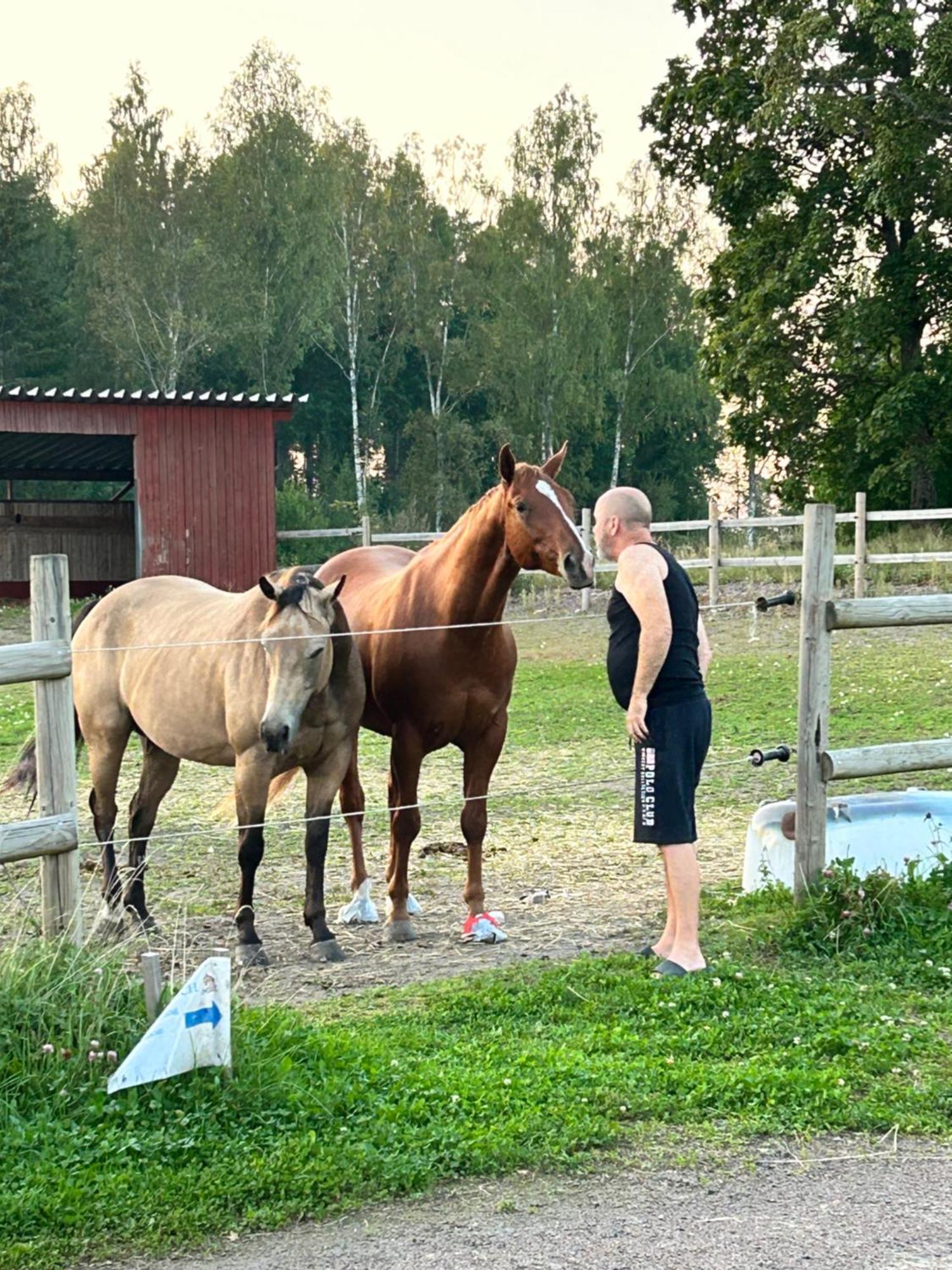 Maalaistalot Ulvsby Ranch Western Camp
