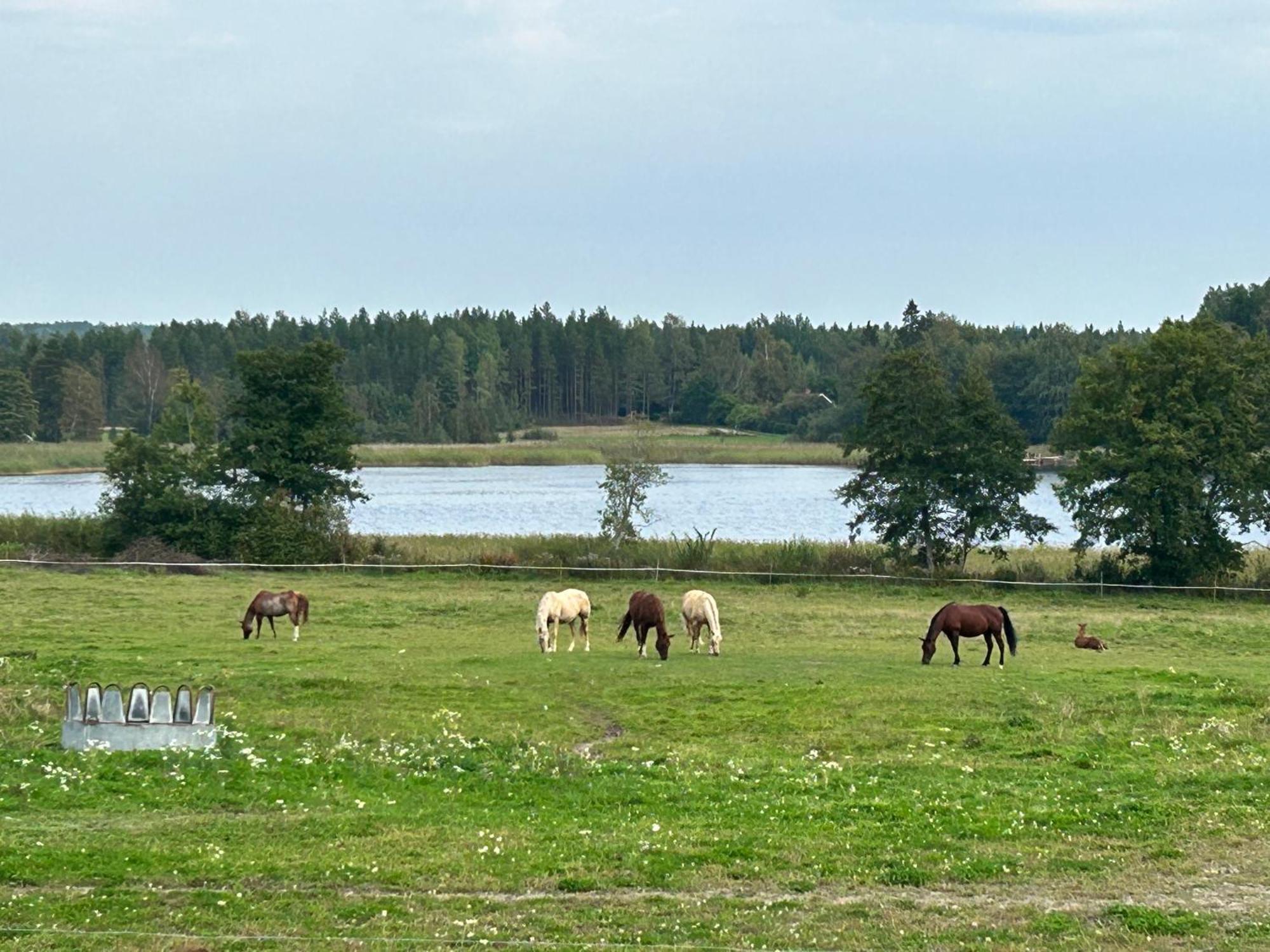Ulvsby Ranch Western Camp Karlstad