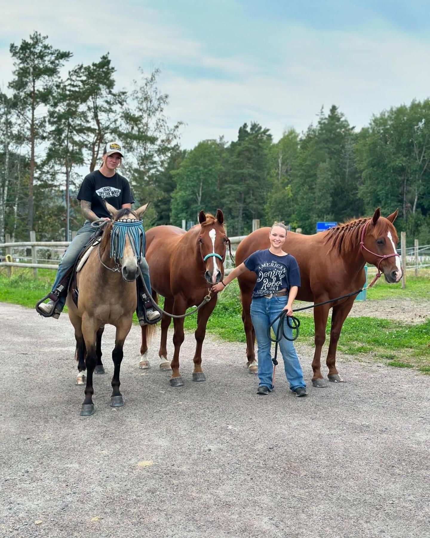 Maalaistalot Ulvsby Ranch Western Camp *